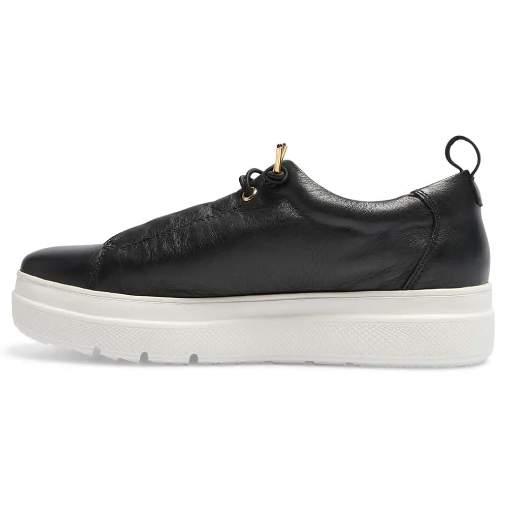Bison Sneaker in Black Leather