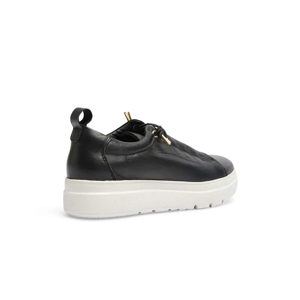 Bison Sneaker in Black Leather