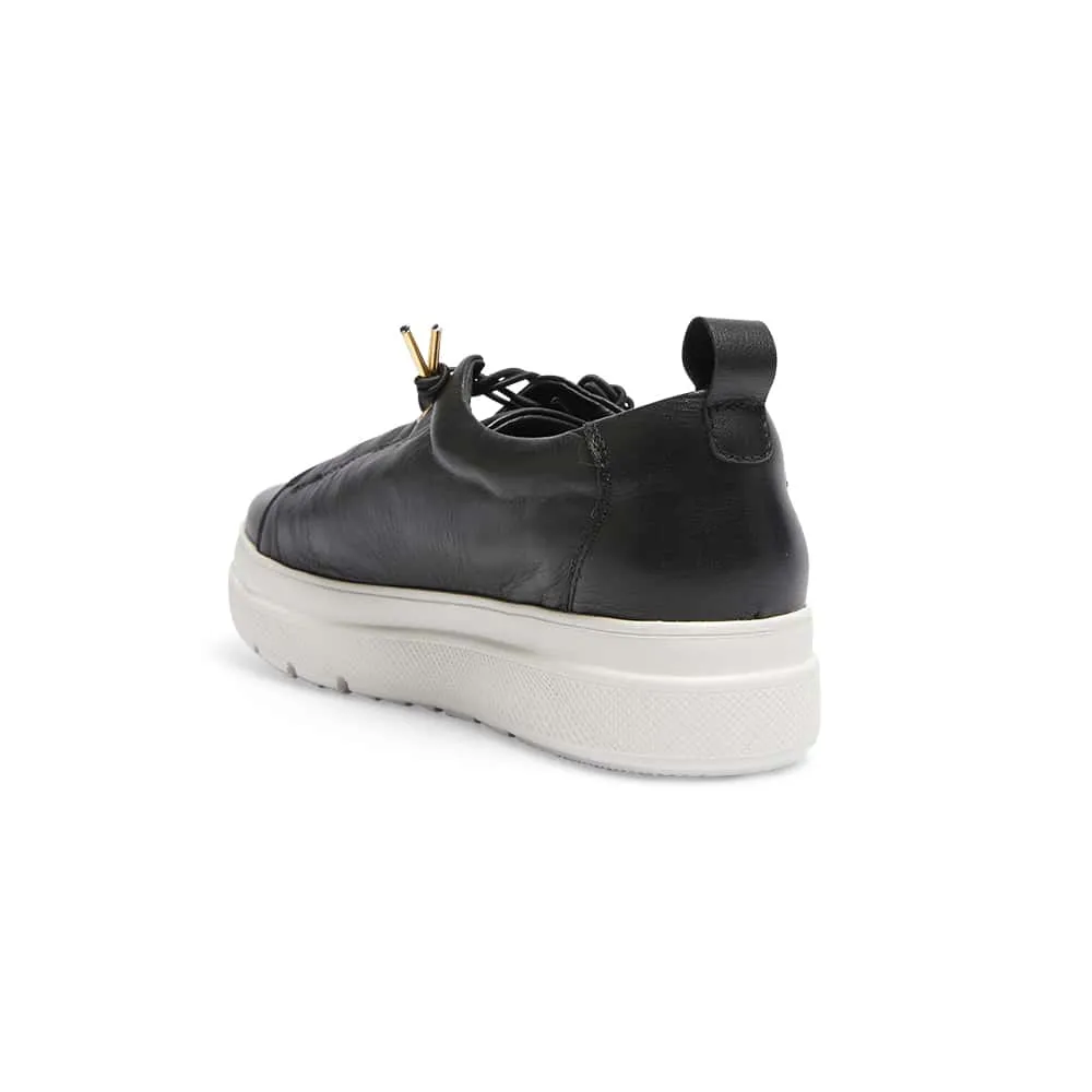 Bison Sneaker in Black Leather
