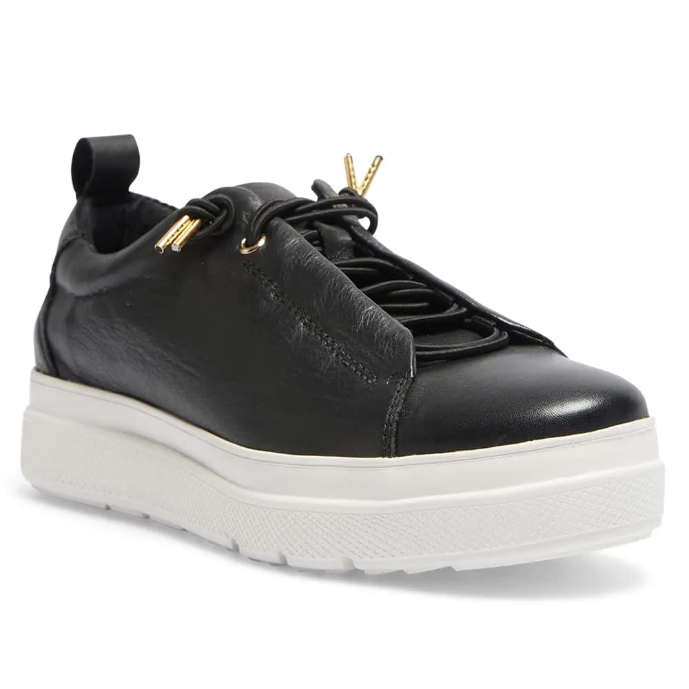 Bison Sneaker in Black Leather
