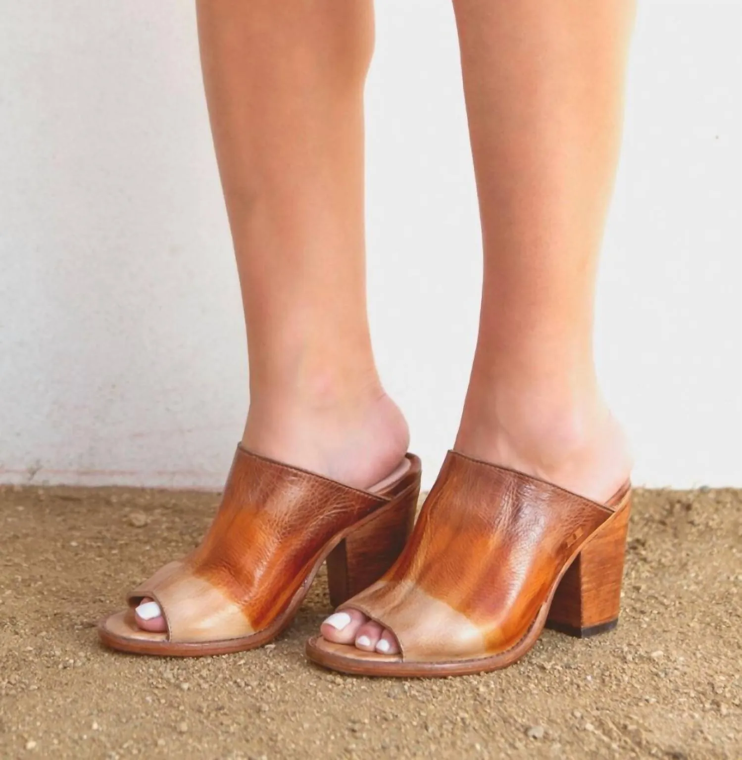 Clavel In Brown