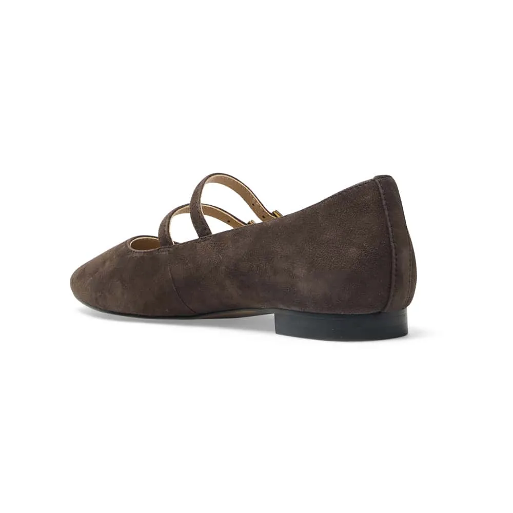 Freda Flat in Chocolate Suede Leather