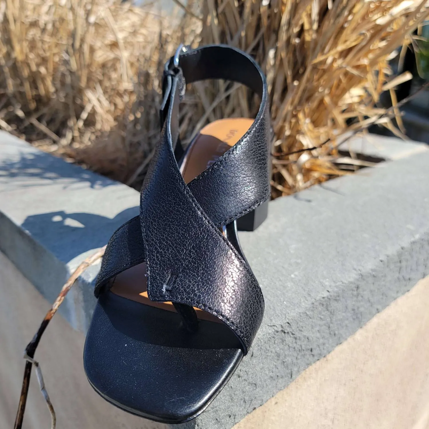 Pasha Sandals In Black
