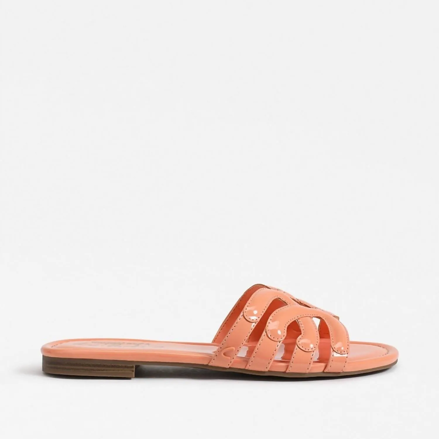 Women's Cat Slide Sandals In Tangerine