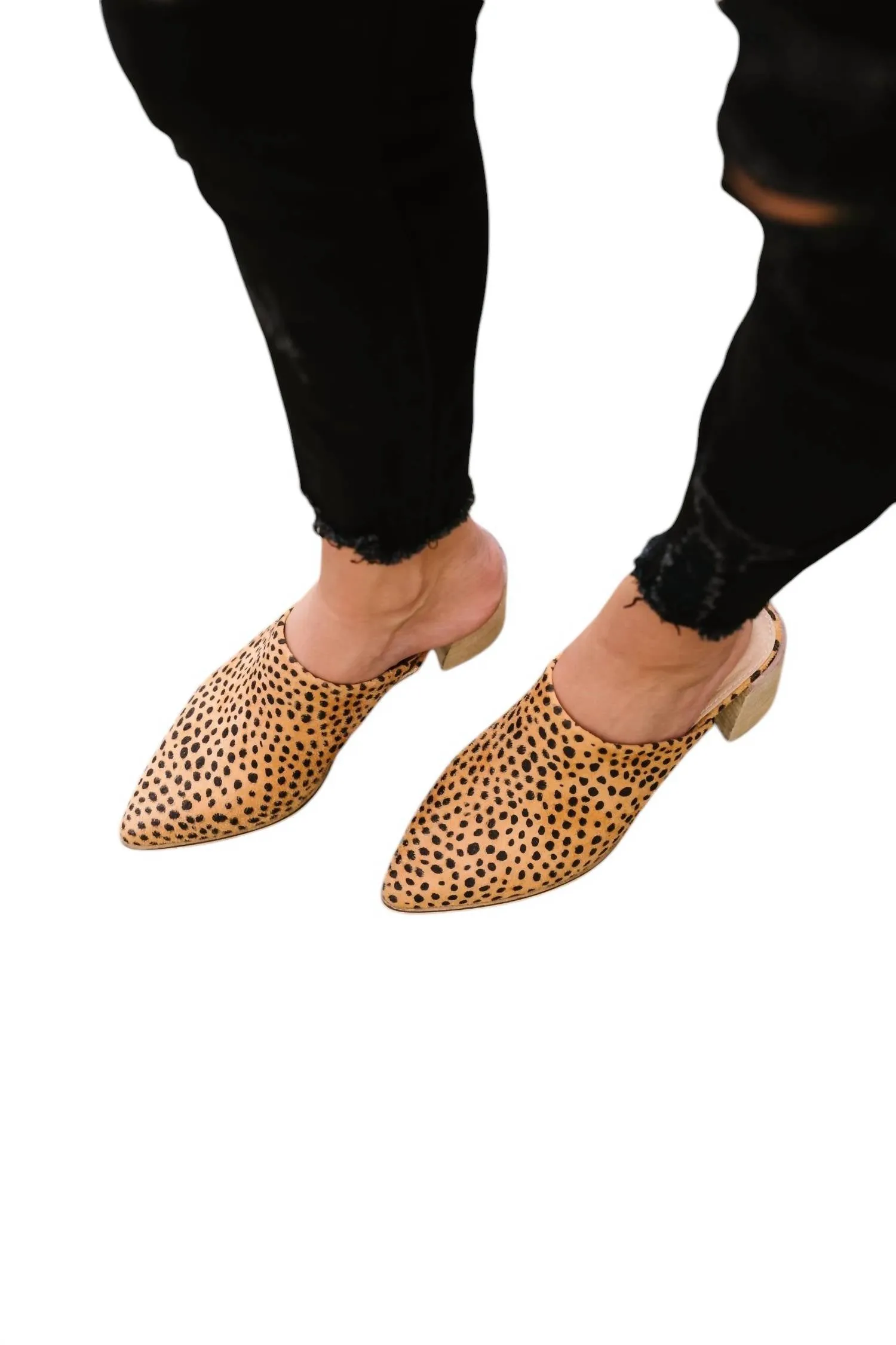 Women's Spotted Mules In Cheetah
