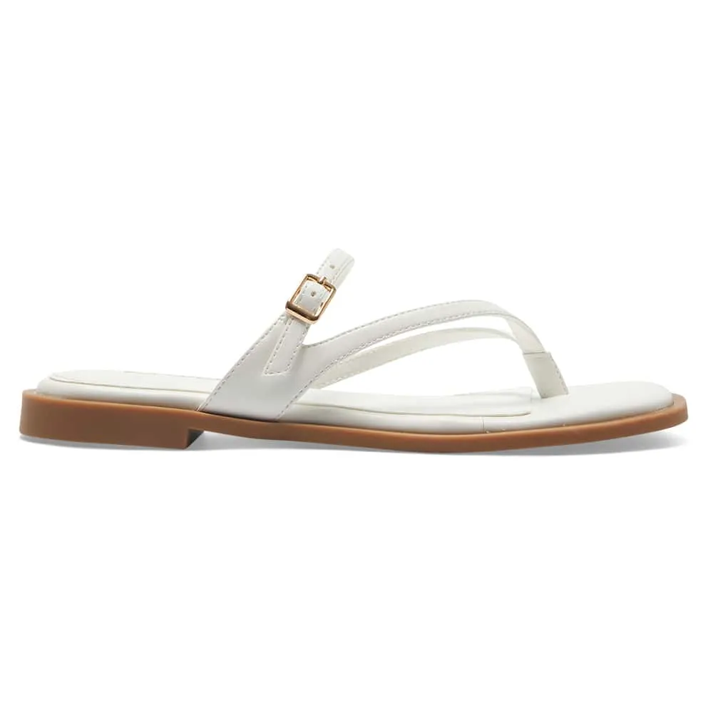 Zen Thongs in White Smooth